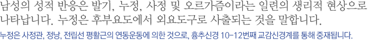 남성의 성적 반응은 발기, 누정, 사정 및 오르가즘이라는 일련의 생리적 현상으로 나타납니다. 누정은 후부요도에서 외요도구로 사출되는 것을 말합니다.누정은 사정관, 정낭, 전립선 평활근의 연동운동에 의한 것으로, 흉추신경 10-12번째 교감신경계를 통해 중재됩니다. 