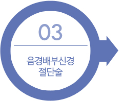 03. 음경배부신경 절단술