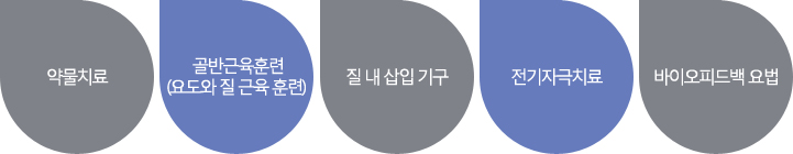 약물치료, 골반근육훈련 (요도와 질 근육 훈련), 질 내 삽입 기구, 전기자극치료, 바이오피드백 요법 