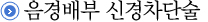 음경배부 신경차단술